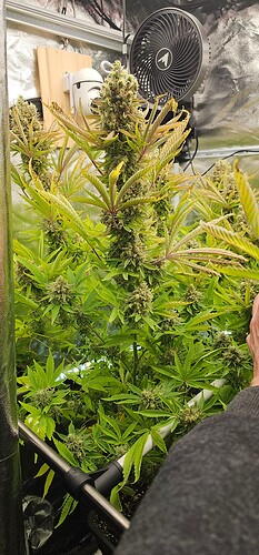 Growreport Bild 3