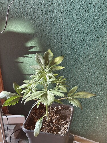 Growreport Bild 22