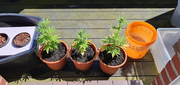 Growreport Bild 1