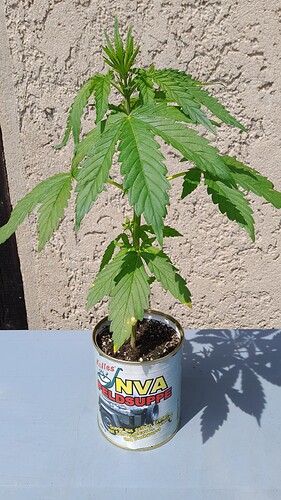 Growreport Bild 21