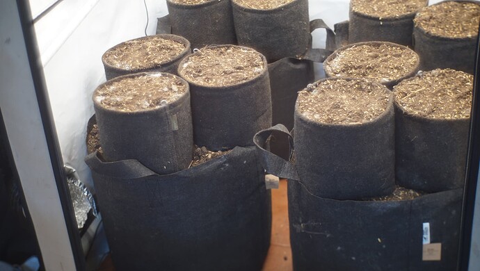 Growreport Bild 13