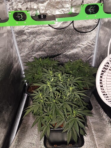 Growreport Bild 2
