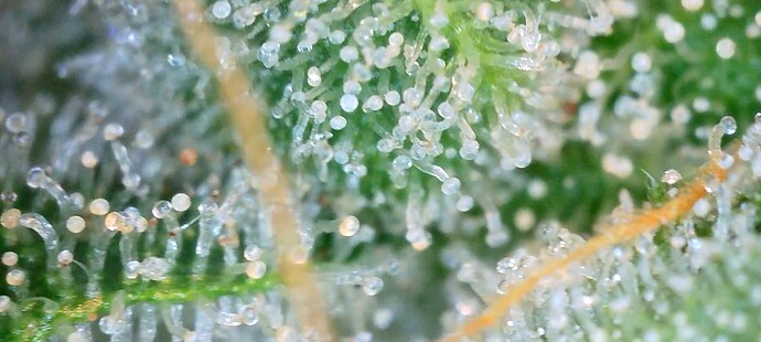 Growreport Bild 10