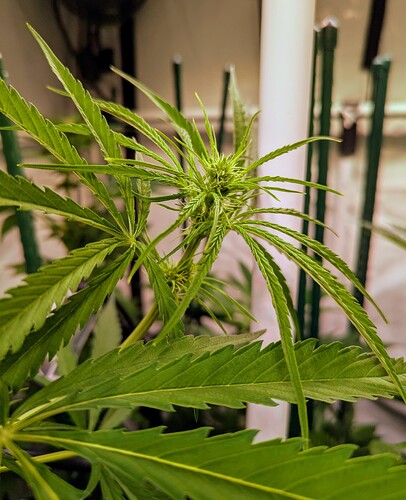 Growreport Bild 9