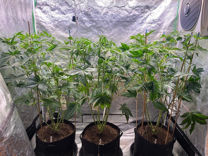 Growreport Bild 23