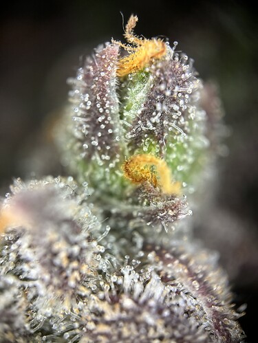 Growreport Bild 19