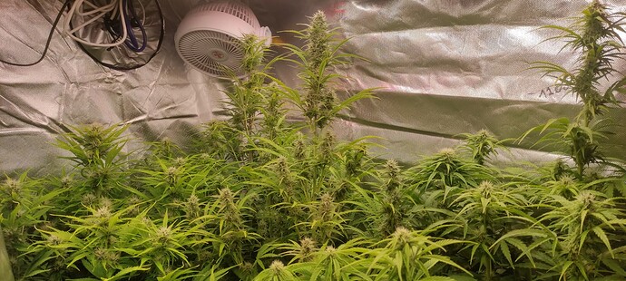 Growreport Bild 6