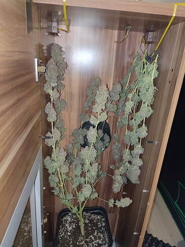 Growreport Bild 9