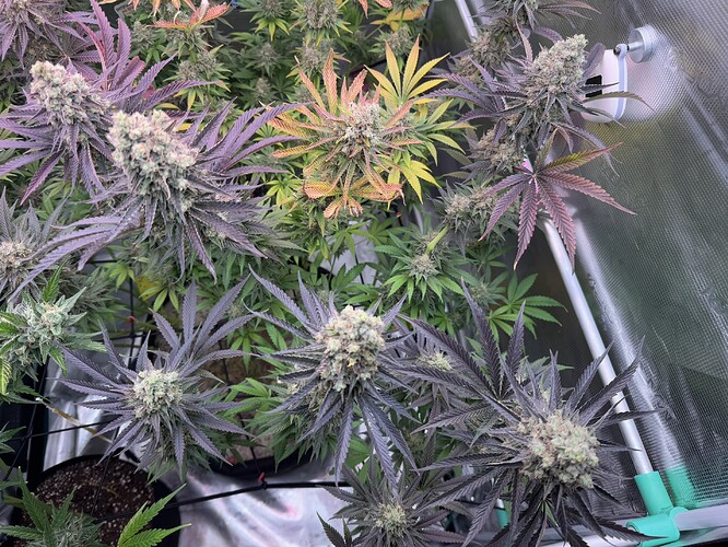 Growreport Bild 11
