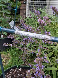 PXL_20250530_101621511