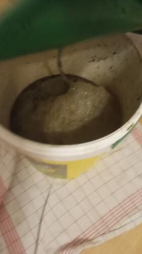 Growreport Bild 1