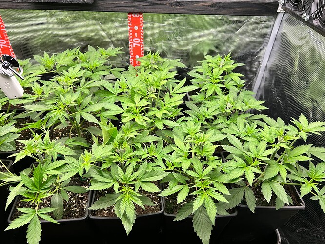Growreport Bild 17