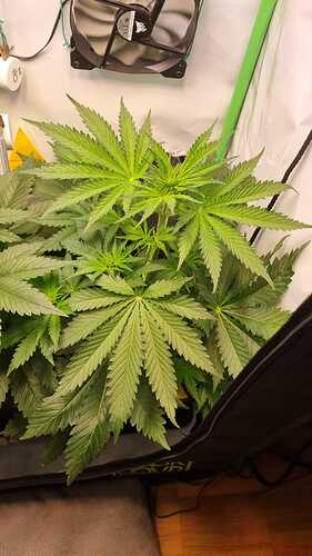 WhatsApp Image 2024-05-23 at 21.25.34