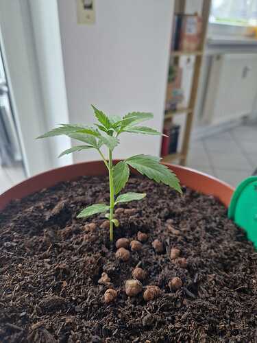 WhatsApp Image 2024-05-22 at 17.48.42