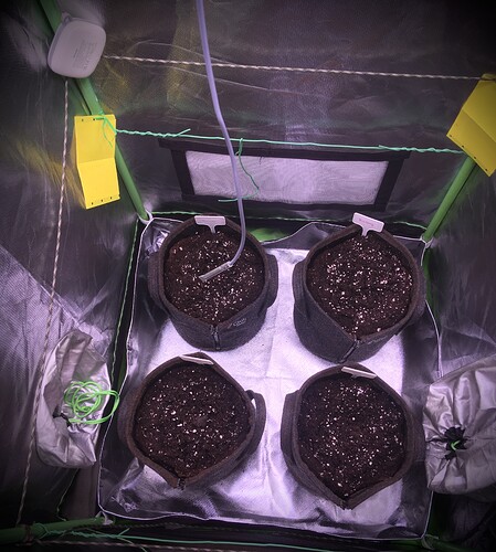 Growreport Bild 1