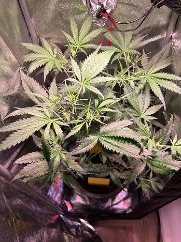 Growreport Bild 9