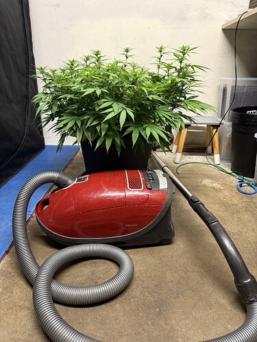 Growreport Bild 2