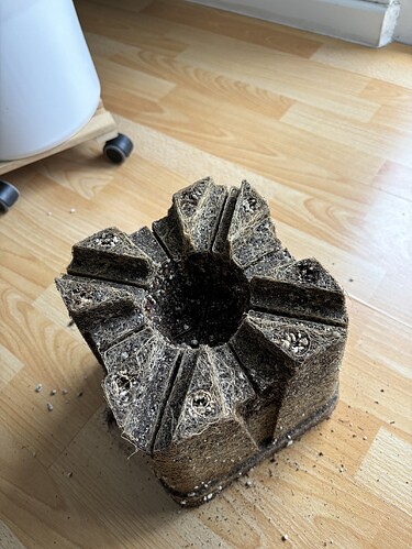 Growreport Bild 94