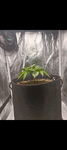 Growreport Bild 2