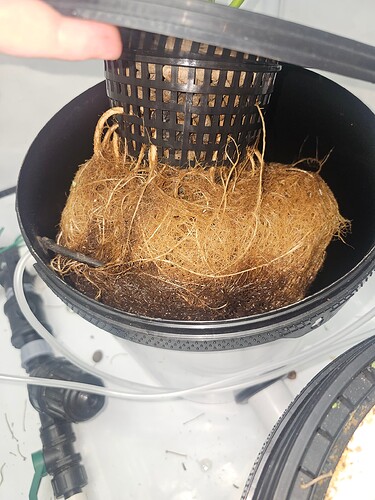 Growreport Bild 23