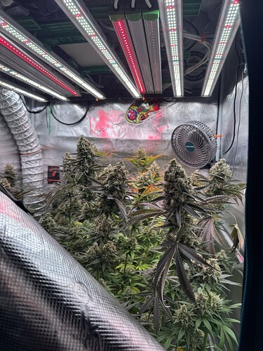 Growreport Bild 57