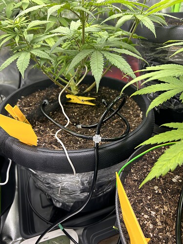 Growreport Bild 7
