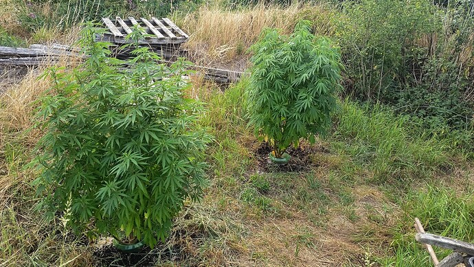 Growreport Bild 11