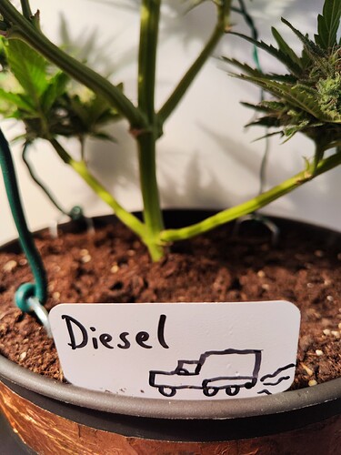 Growreport Bild 3