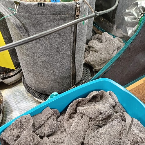 Growreport Bild 1