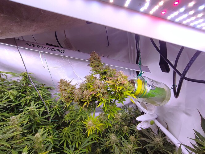 Growreport Bild 43