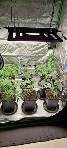 647307268_122227223558293599_7063455753719008200_n