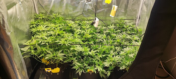 Growreport Bild 7