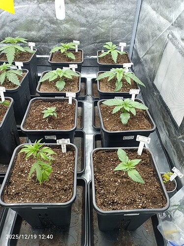 Growreport Bild 8
