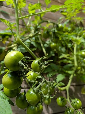 Growreport Bild 15