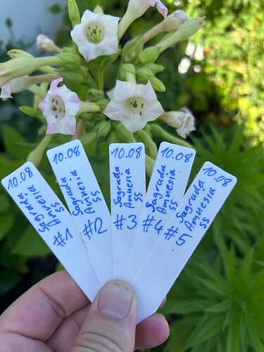 Growreport Bild 10