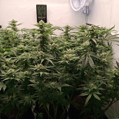 475761028_122166332456293599_263052055525858350_n