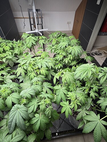 Growreport Bild 16