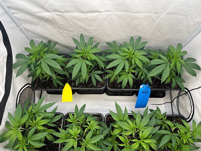 Growreport Bild 23