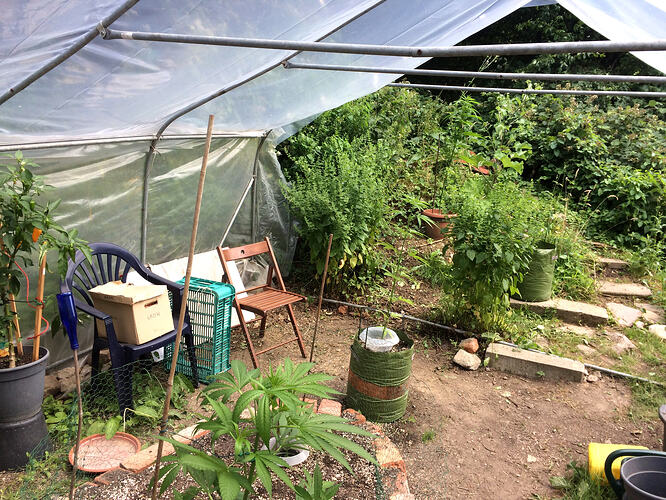 Grow26070308