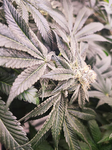 Growreport Bild 22