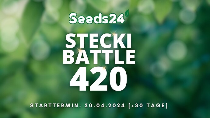 Seeds24 Stecki Battle Ankündigug