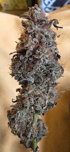 Growreport Bild 50
