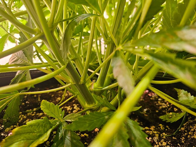 Growreport Bild 5