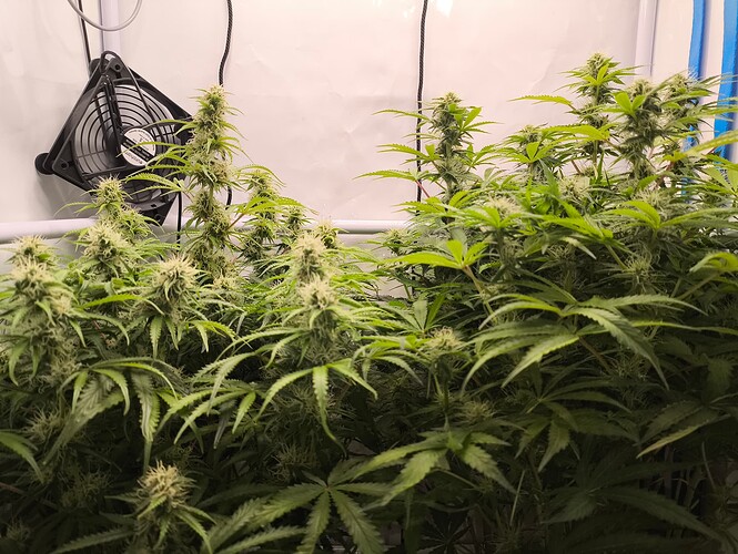 Growreport Bild 6