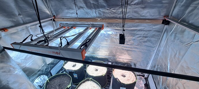 Growreport Bild 65