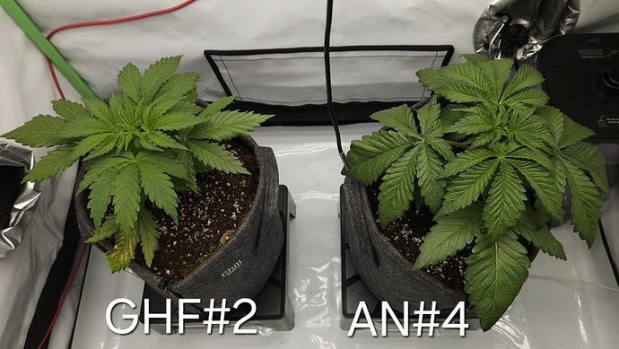 Growreport Bild 16