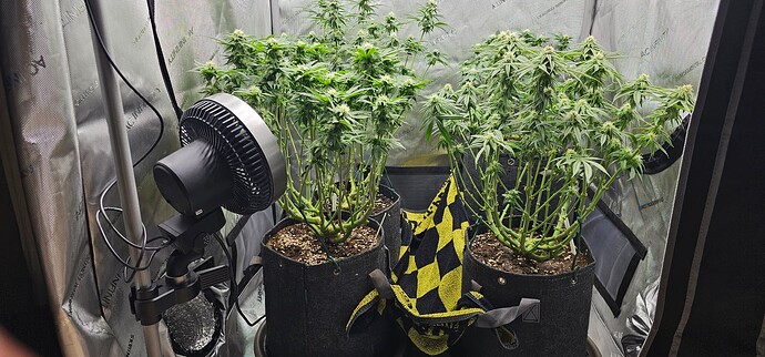 Growreport Bild 13
