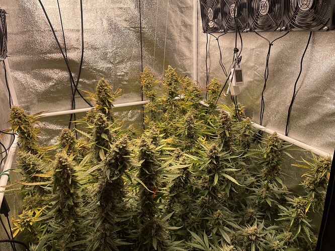Growreport Bild 15