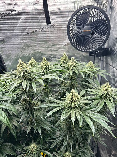 Growreport Bild 30
