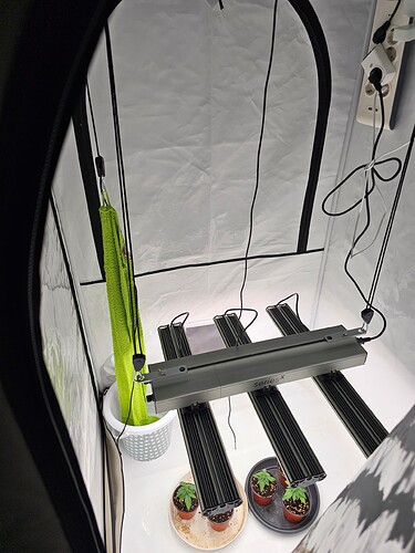 Growreport Bild 3